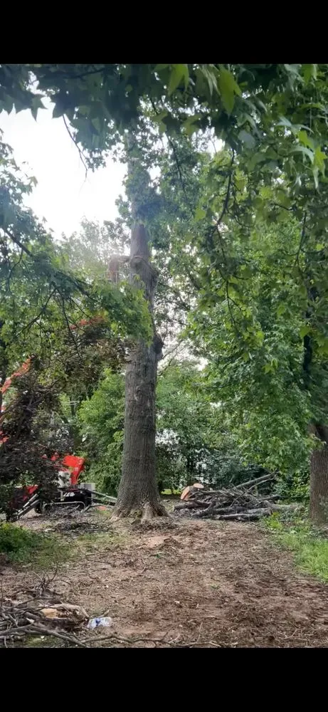 Top-rated yard cleanup service in Perryville, MO - Weibrecht Landscaping