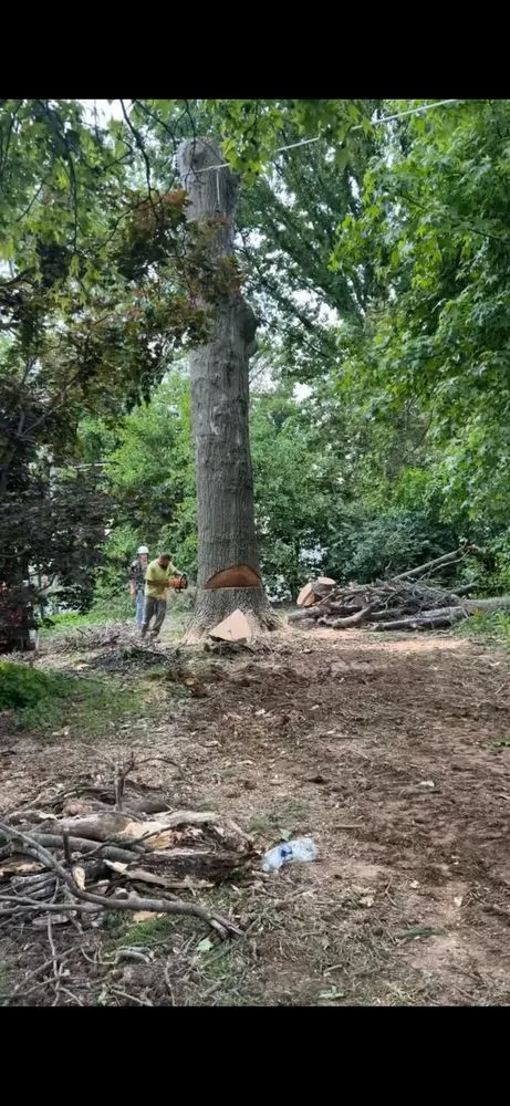 Affordable landscaping services with custom design across Perryville, MO - Weibrecht Landscaping