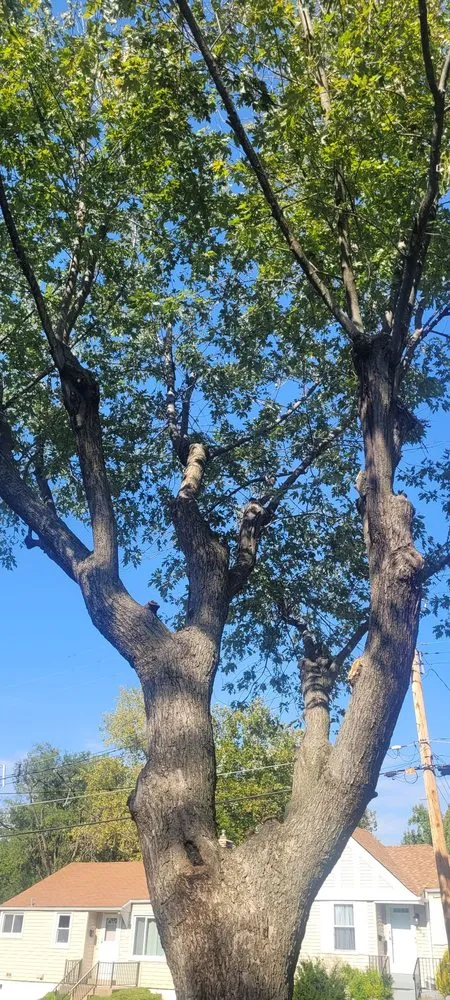 Trusted landscape design in Perryville, MO - Weibrecht Landscaping