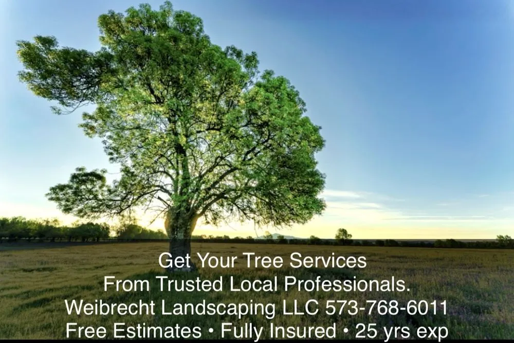 Reliable lawn mowing service experts serving Perryville, MO - Weibrecht Landscaping