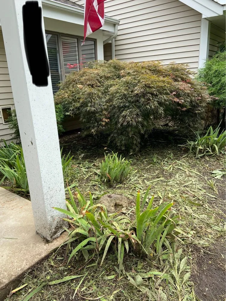 Top-rated landscape installation for year-round maintenance in St Peters, MO by Weibrecht Landscaping
