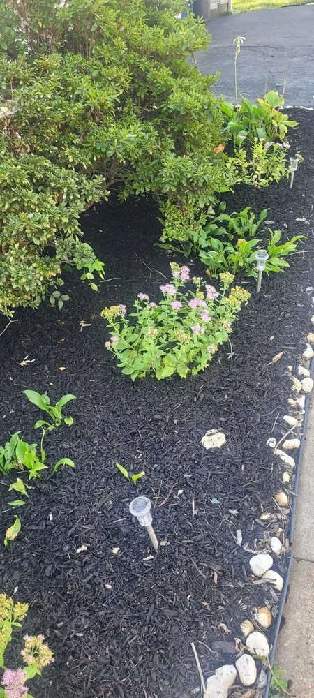 Local yard cleanup service experts serving St Peters, MO - Weibrecht Landscaping
