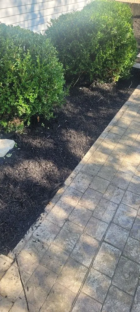Custom yard cleanup service experts serving St Peters, MO - Weibrecht Landscaping