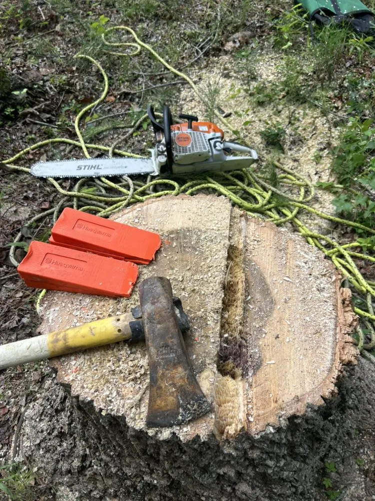 Custom yard maintenance for outdoor upgrades across Pelham, AL - Weidler's Tree Service