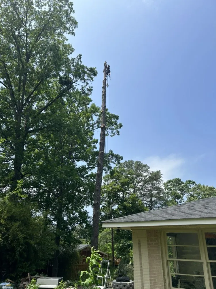 Local yard cleanup service in Pelham, AL by Weidler's Tree Service