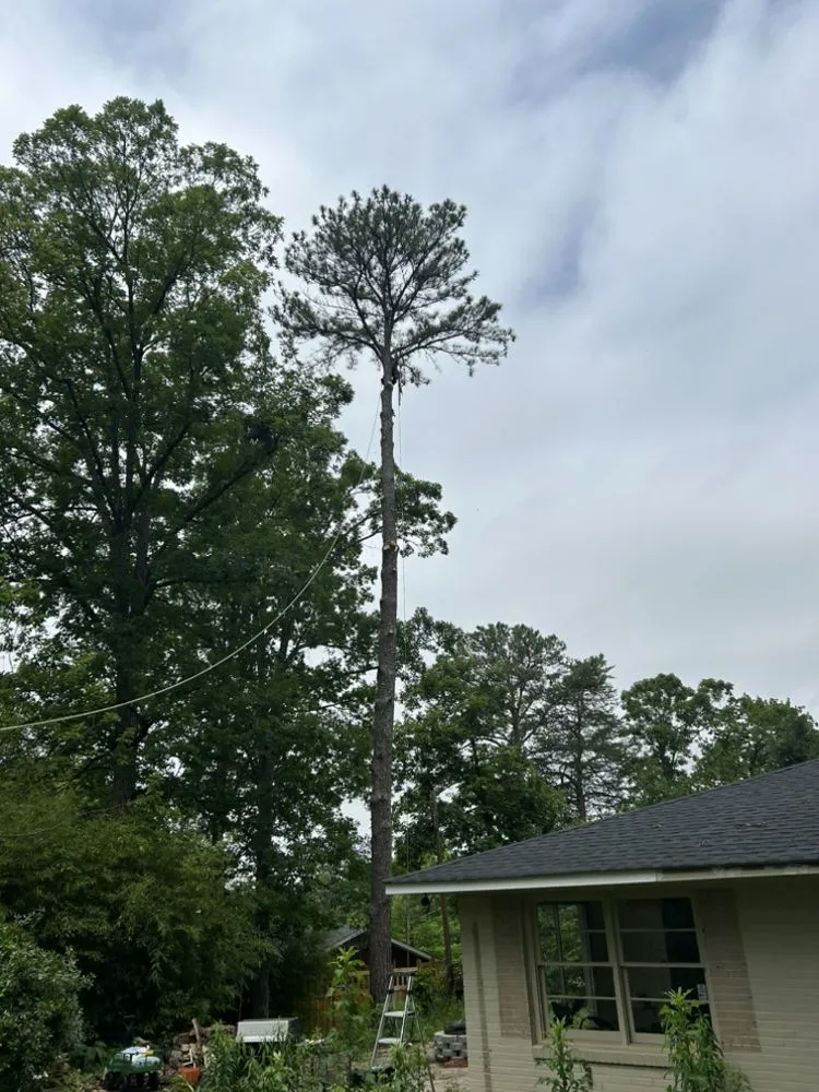 Professional landscaping services experts serving Pelham, AL - Weidler's Tree Service