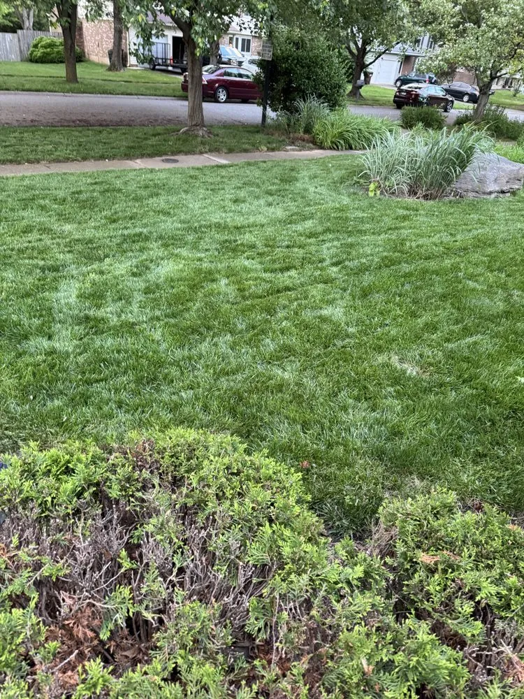 Trusted yard maintenance experts serving Brownsboro Village, KY - Weiger Lawn and Landscaping