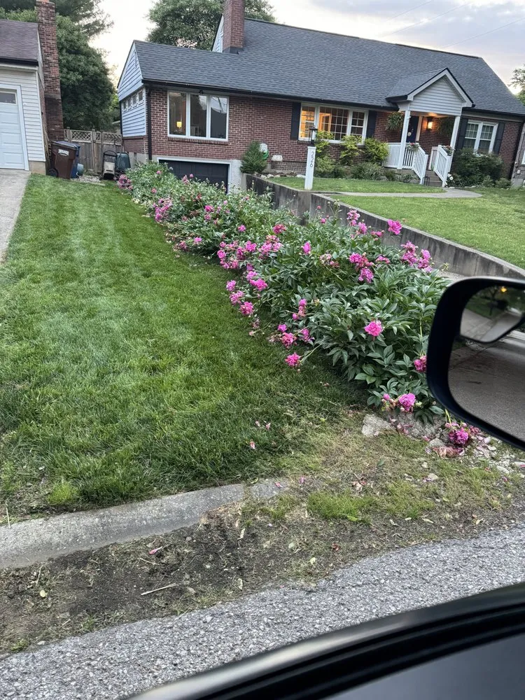 Reliable yard maintenance for outdoor upgrades in Brownsboro Village, KY by Weiger Lawn and Landscaping