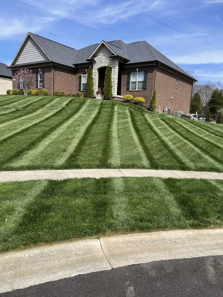 Expert landscape design for homes in Brownsboro Village, KY by Weiger Lawn and Landscaping