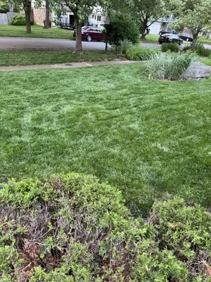 Weiger Lawn and Landscaping