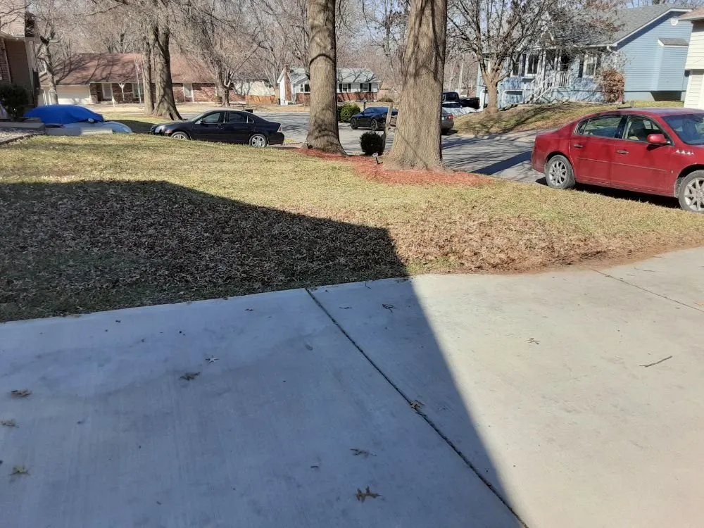 Local landscape installation for year-round maintenance across Raymore, MO - Weil Lawn Care