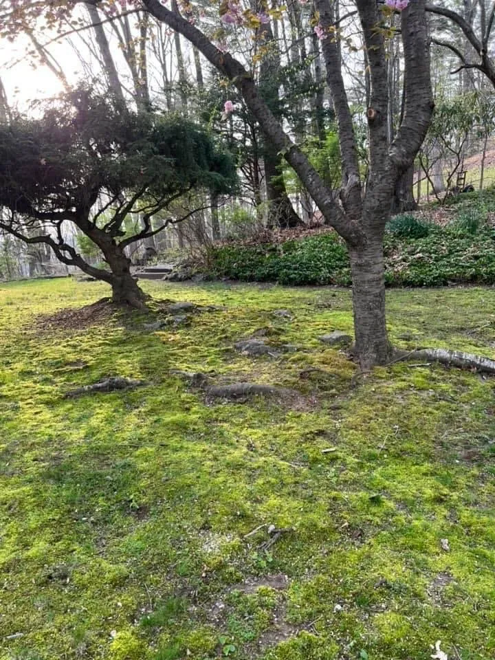 Reliable landscaping services for outdoor upgrades in Stroudsburg, PA by Weil’s Landscaping