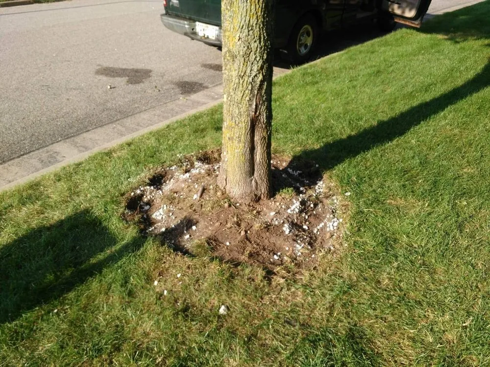 Custom outdoor landscaping in Stroudsburg, PA by Weil’s Landscaping