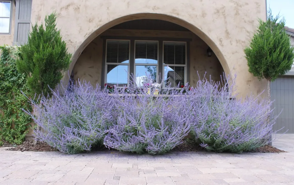 Trusted residential landscaping in Colorado Springs, CO - Weisburg Landscape Maintenance