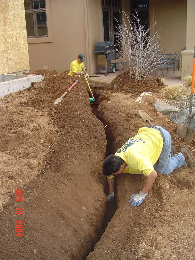 Expert yard cleanup service in Colorado Springs, CO - Weisburg Landscape Maintenance