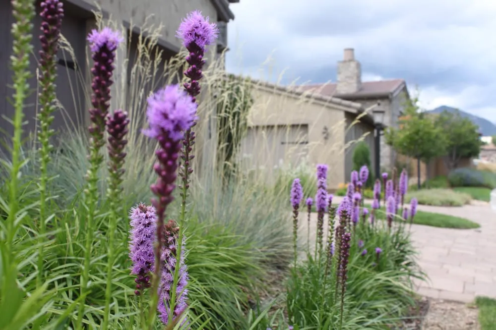 Trusted landscaping services in Colorado Springs, CO by Weisburg Landscape Maintenance
