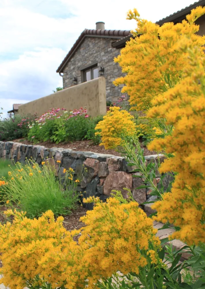 Reliable lawn mowing service near you in Colorado Springs, CO by Weisburg Landscape Maintenance