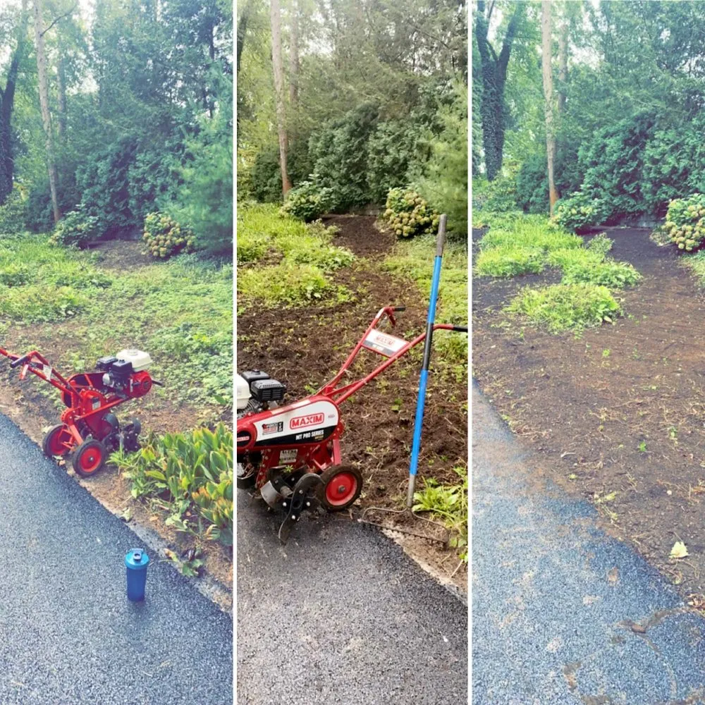 Reliable landscaping services experts serving Webster, NY - Weisemen Management