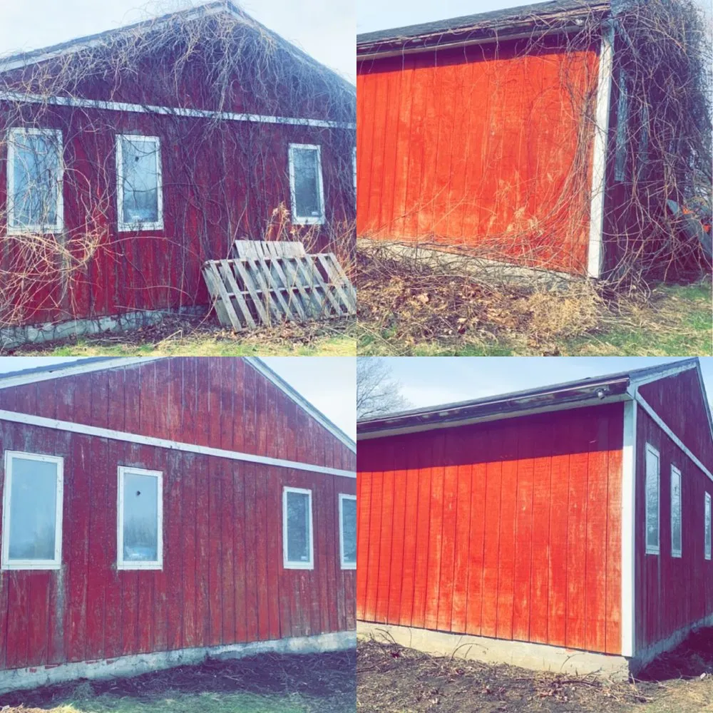 Trusted yard cleanup service in Webster, NY by Weisemen Management