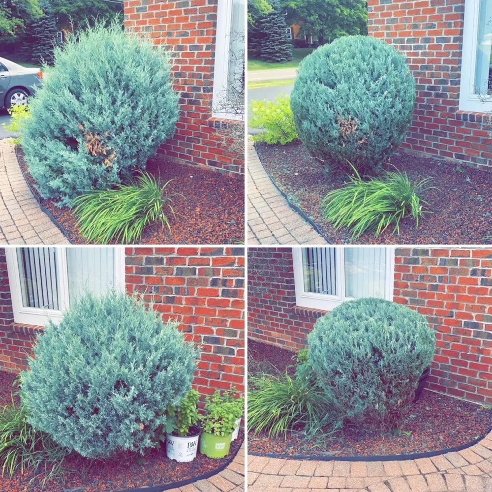 Affordable lawn mowing service for year-round maintenance in Webster, NY by Weisemen Management