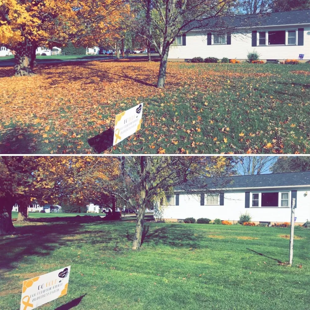 Trusted landscaping services near you across Webster, NY - Weisemen Management