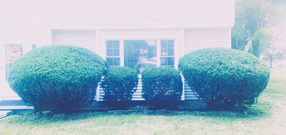 Professional outdoor landscaping for homes in Webster, NY by Weisemen Management