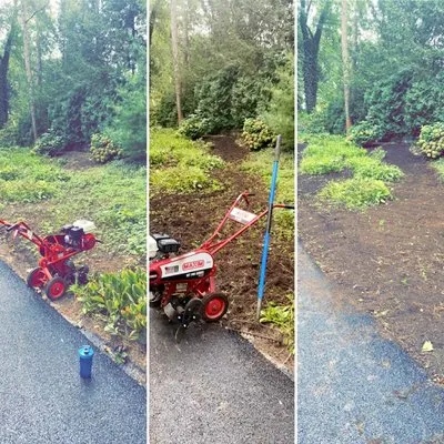 Weisemen Management Logo