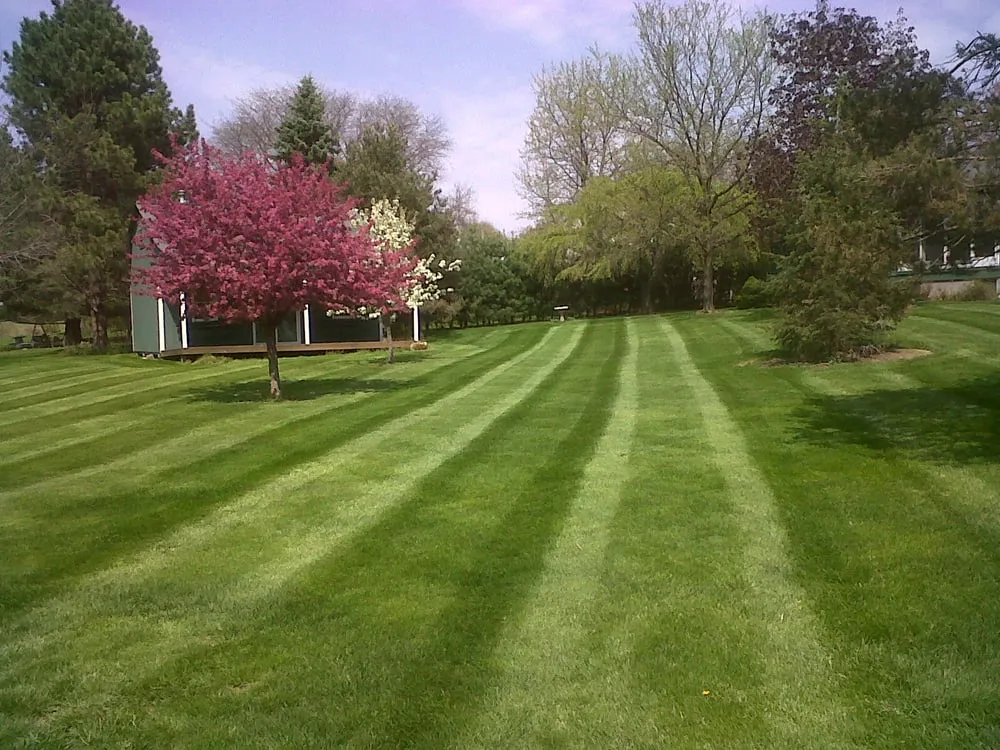 Expert landscape installation in Medina, OH - Weiser Turf Management