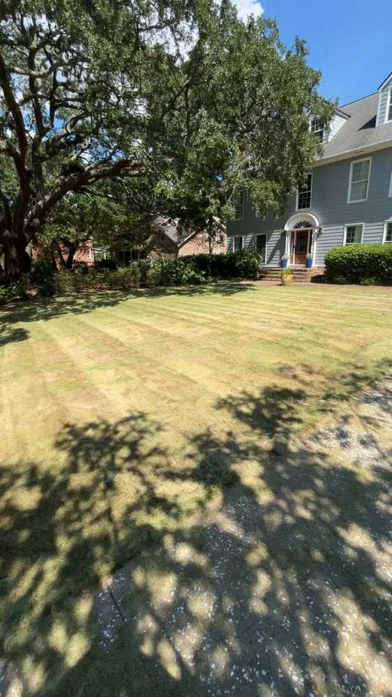 Reliable landscape installation with custom design in Mount Pleasant, SC by Weiser Works