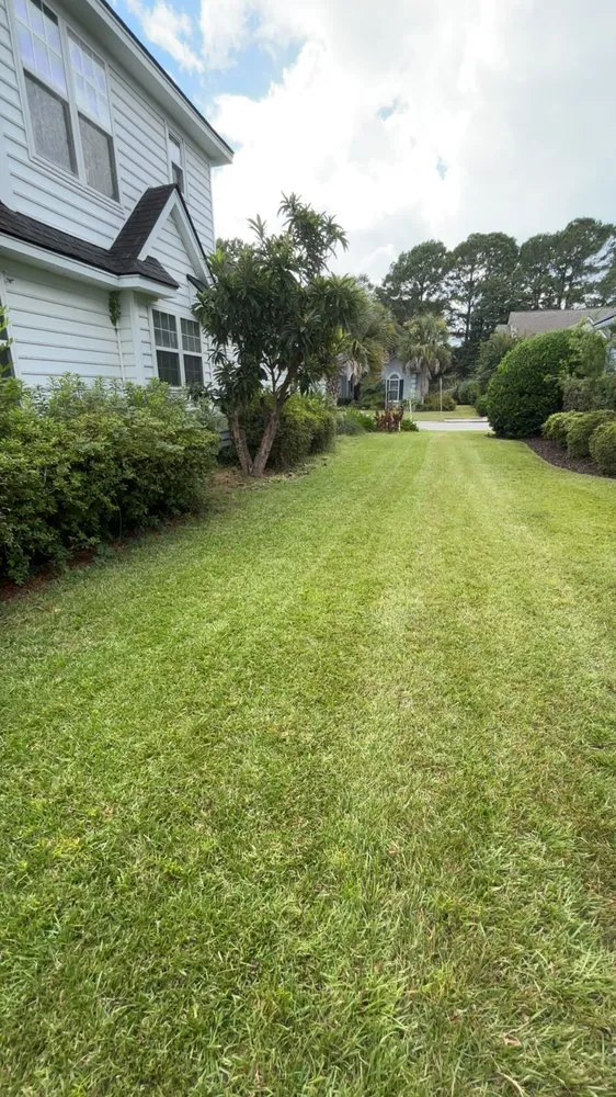 Reliable landscaping services for residential properties in Mount Pleasant, SC by Weiser Works