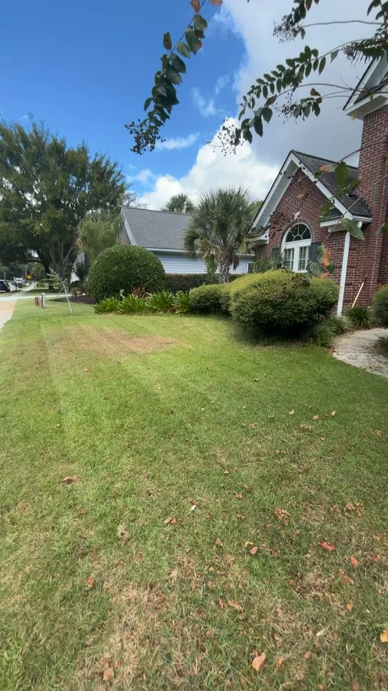 Trusted lawn mowing service in Mount Pleasant, SC - Weiser Works