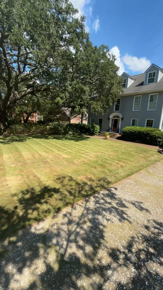 Professional outdoor landscaping for beautiful yards in Mount Pleasant, SC by Weiser Works