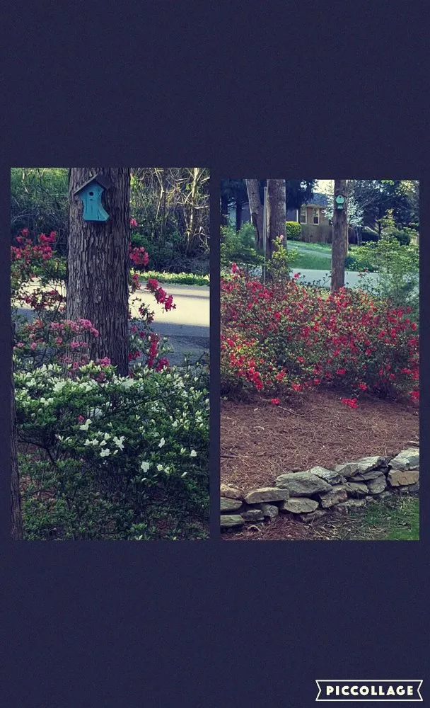 Professional lawn mowing service in Canton, GA by Weisert Landscaping Services