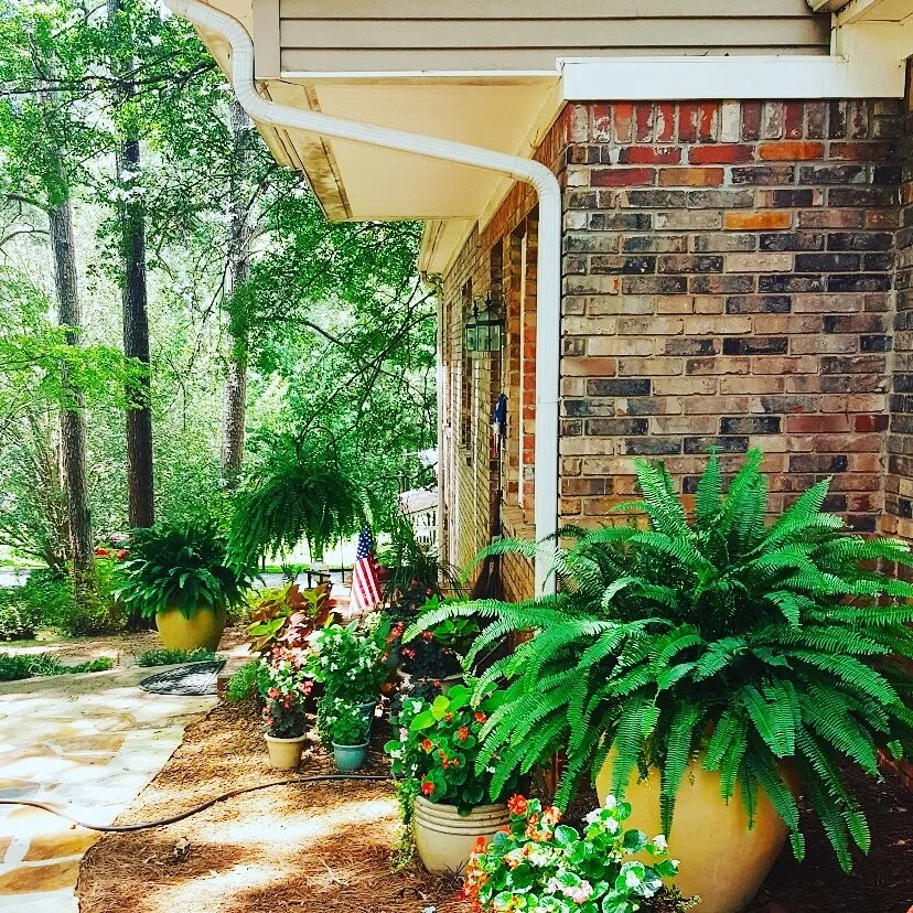 Custom lawn mowing service near you in Canton, GA by Weisert Landscaping Services