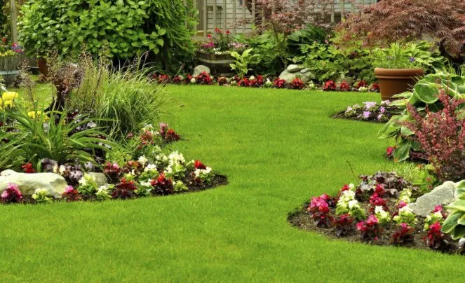 Professional landscape design in Webster, FL - Weiss Landscape