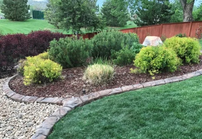 Custom lawn care service in Webster, FL - Weiss Landscape