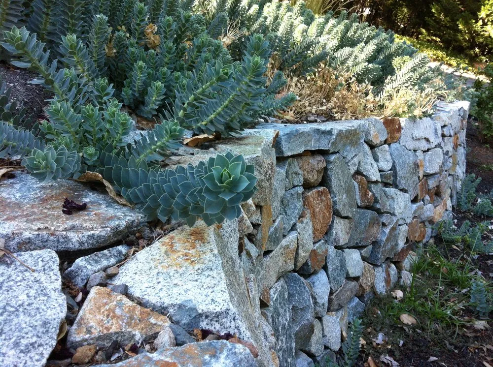 Reliable residential landscaping experts serving Nevada City, CA - Weiss Landscaping