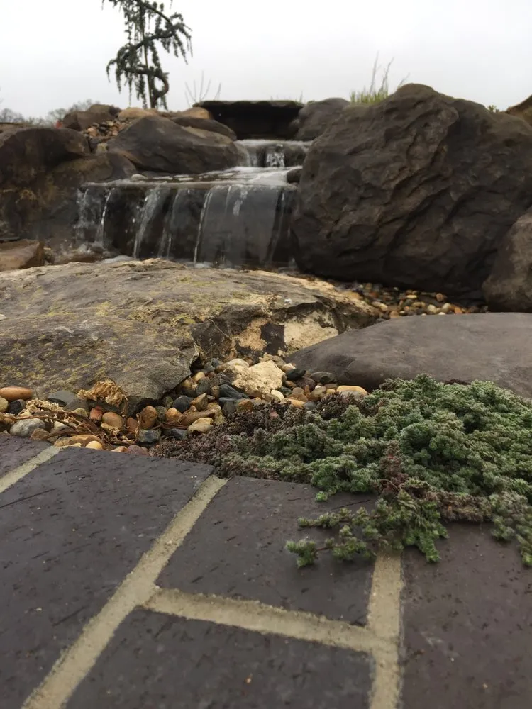 Top-rated yard maintenance for homes across Nevada City, CA - Weiss Landscaping