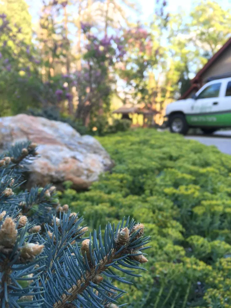 Custom lawn mowing service in Nevada City, CA - Weiss Landscaping