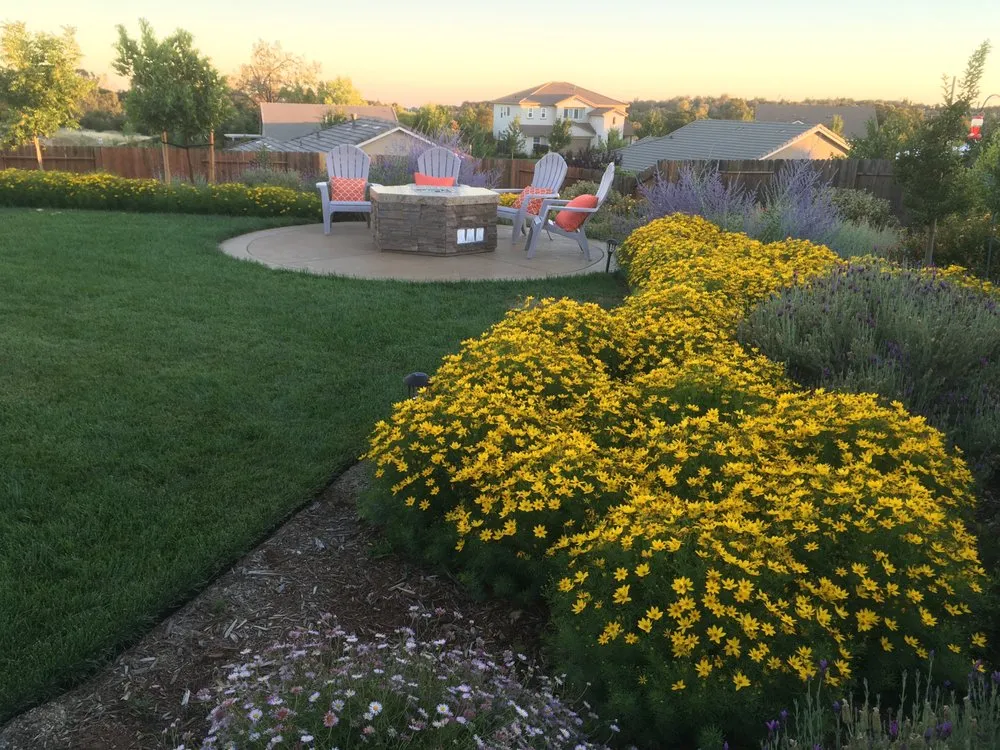 Reliable yard cleanup service for residential properties across Nevada City, CA - Weiss Landscaping
