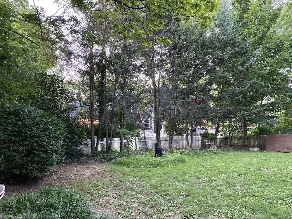 Professional yard maintenance experts serving Pittstown, NJ - Weiss Landscaping