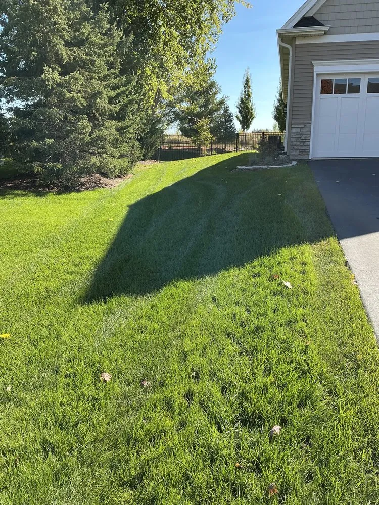 Trusted landscaping services in Carol Stream, IL - Weiss Lawn Care