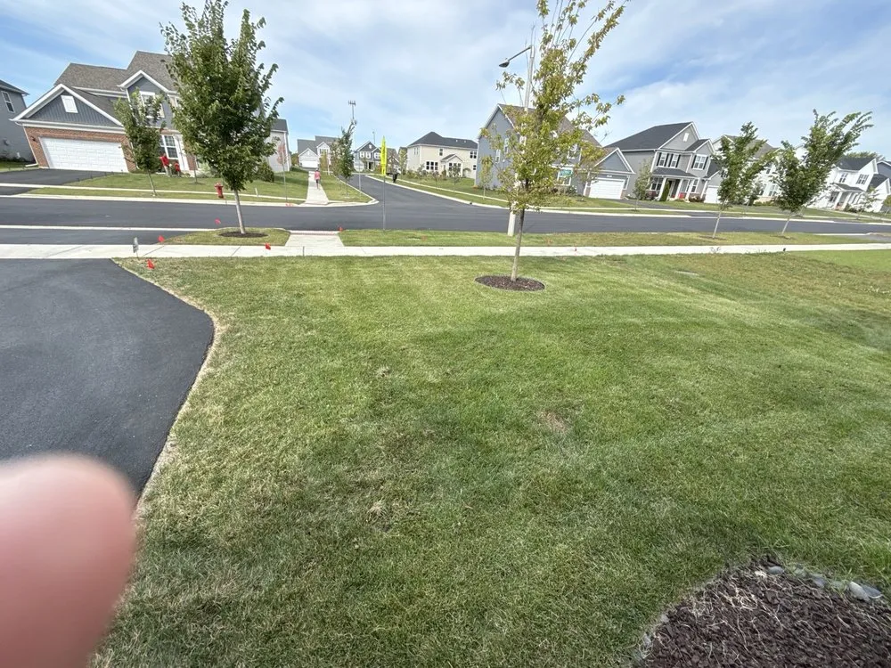 Affordable yard cleanup service experts serving Carol Stream, IL - Weiss Lawn Care