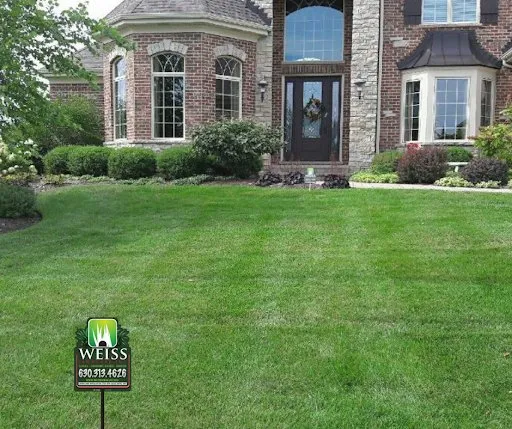 Local yard maintenance for beautiful yards in Carol Stream, IL by Weiss Lawn Care