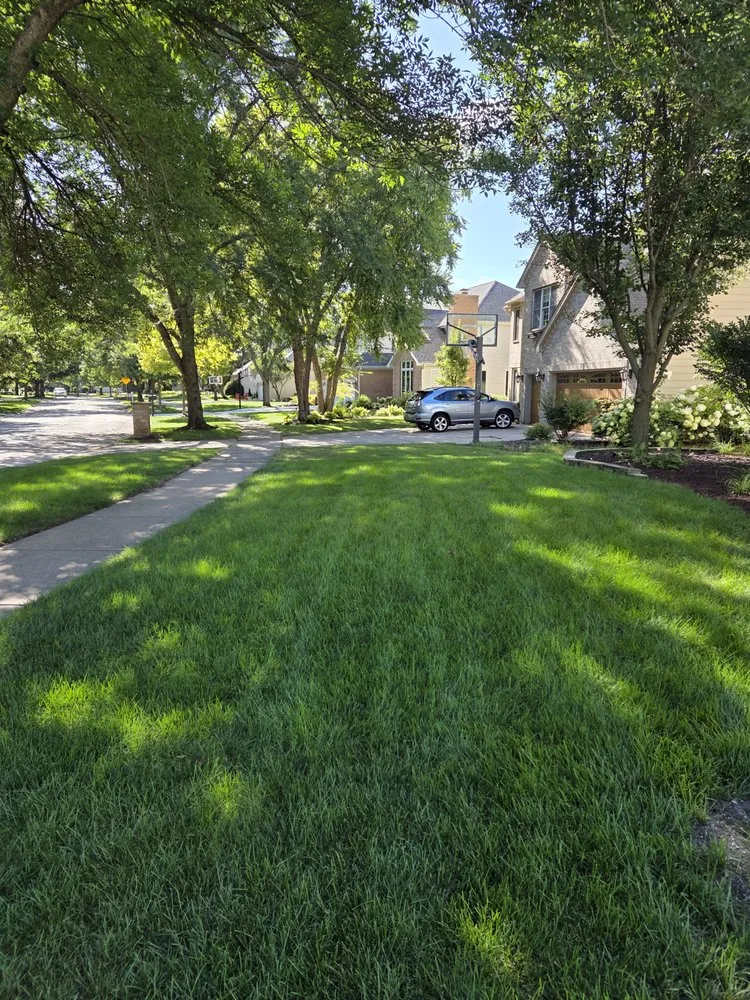 Trusted landscape installation for residential properties in Carol Stream, IL by Weiss Lawn Care