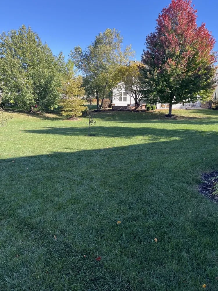 Trusted residential landscaping for beautiful yards across Carol Stream, IL - Weiss Lawn Care