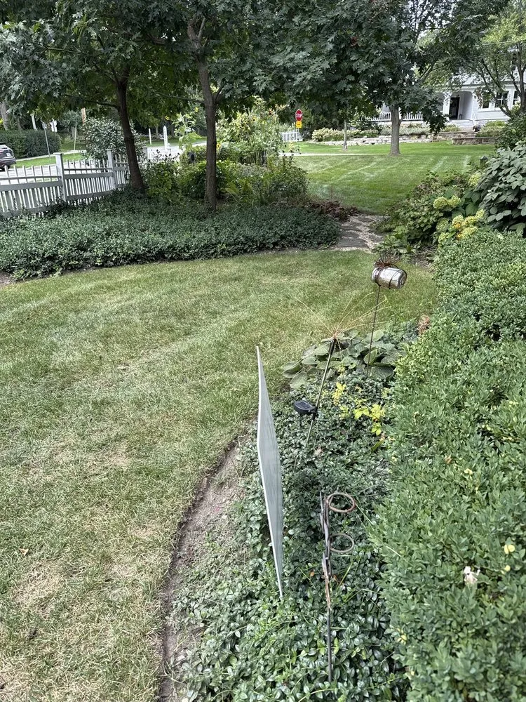 Local lawn mowing service in Carol Stream, IL by Weiss Lawn Care