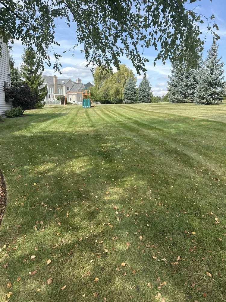 Custom landscaping services in Carol Stream, IL - Weiss Lawn Care