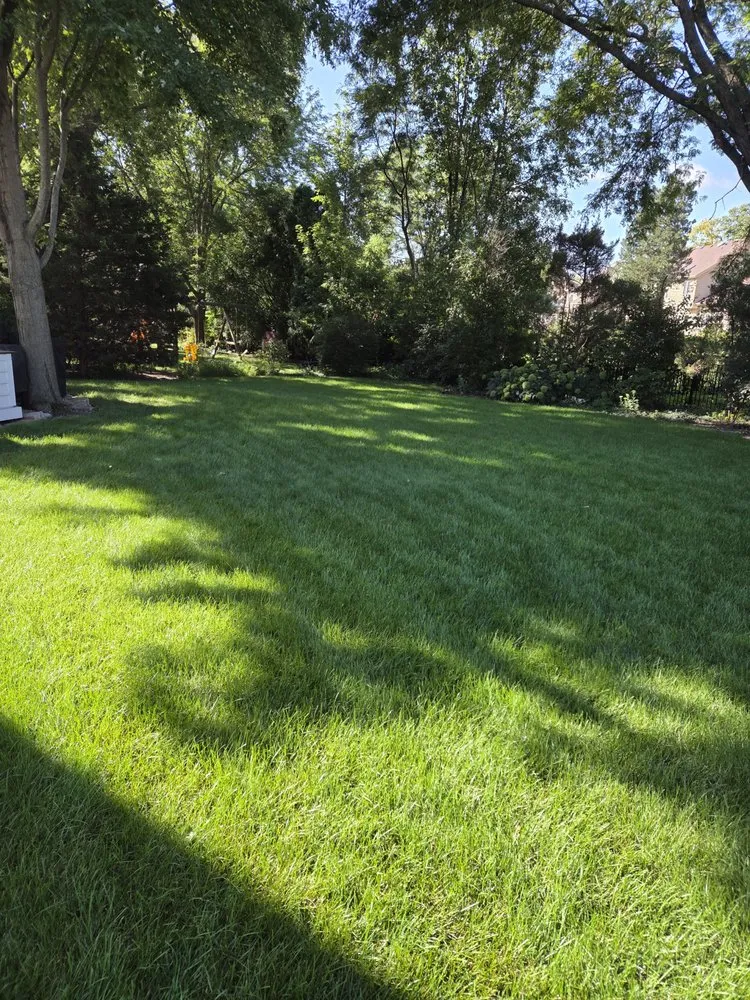 Trusted outdoor landscaping for beautiful yards in Carol Stream, IL by Weiss Lawn Care