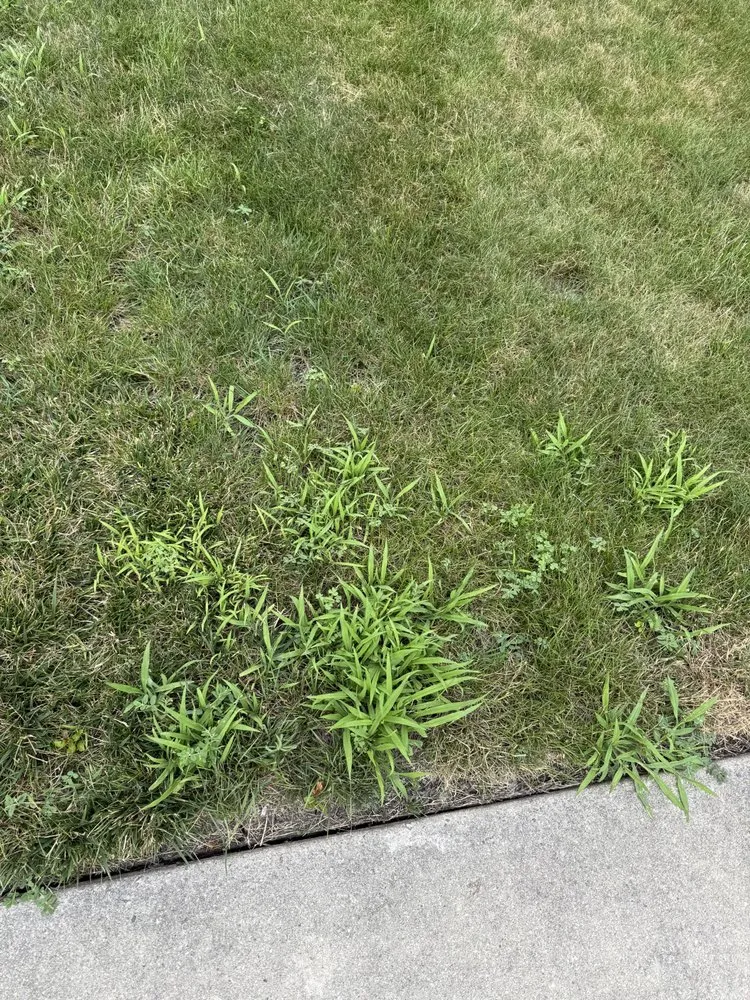 Affordable landscape installation for homes in Carol Stream, IL by Weiss Lawn Care